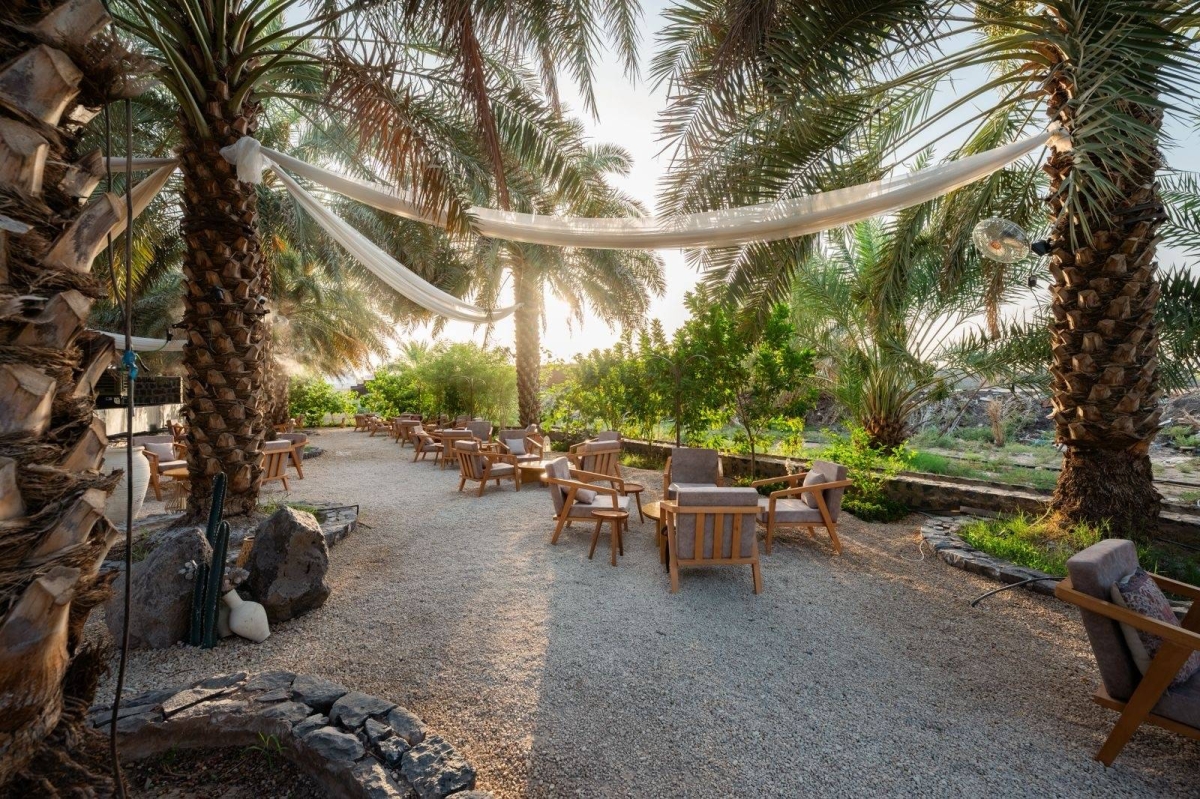 تصوّر.-إفطارًا-بين-النور-والنخيل