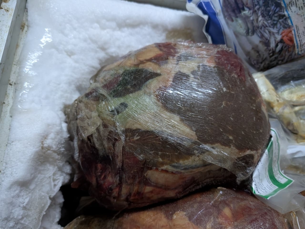 صور|-إتلاف-1,100-كجم-لحوم-فاسدة-وضبط-أكثر-من-4-آلاف-عبوة-تالفة-شرق-جدة