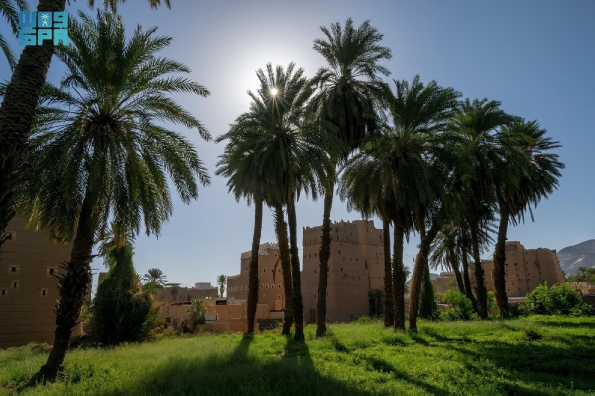 تمور-«البياض»-و-«المواكيل»-بنجران-رمز-للكرم-والضيافة-في-شهر-رمضان