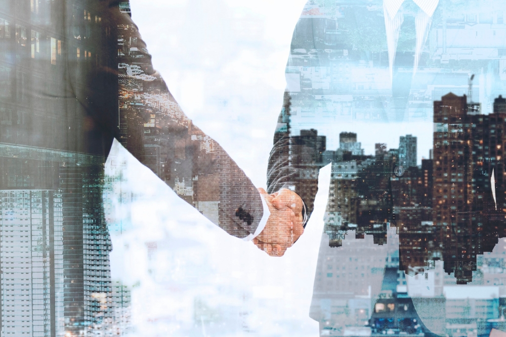 3-سنوات-للتصفية.-قواعد-جديدة-ترسي-حوكمة-الشركات-بالمناطق-الاقتصادية