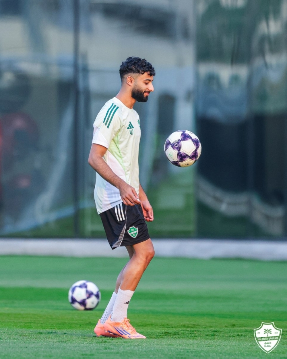 أبو-الشامات-يرفض-قرار-يايسله