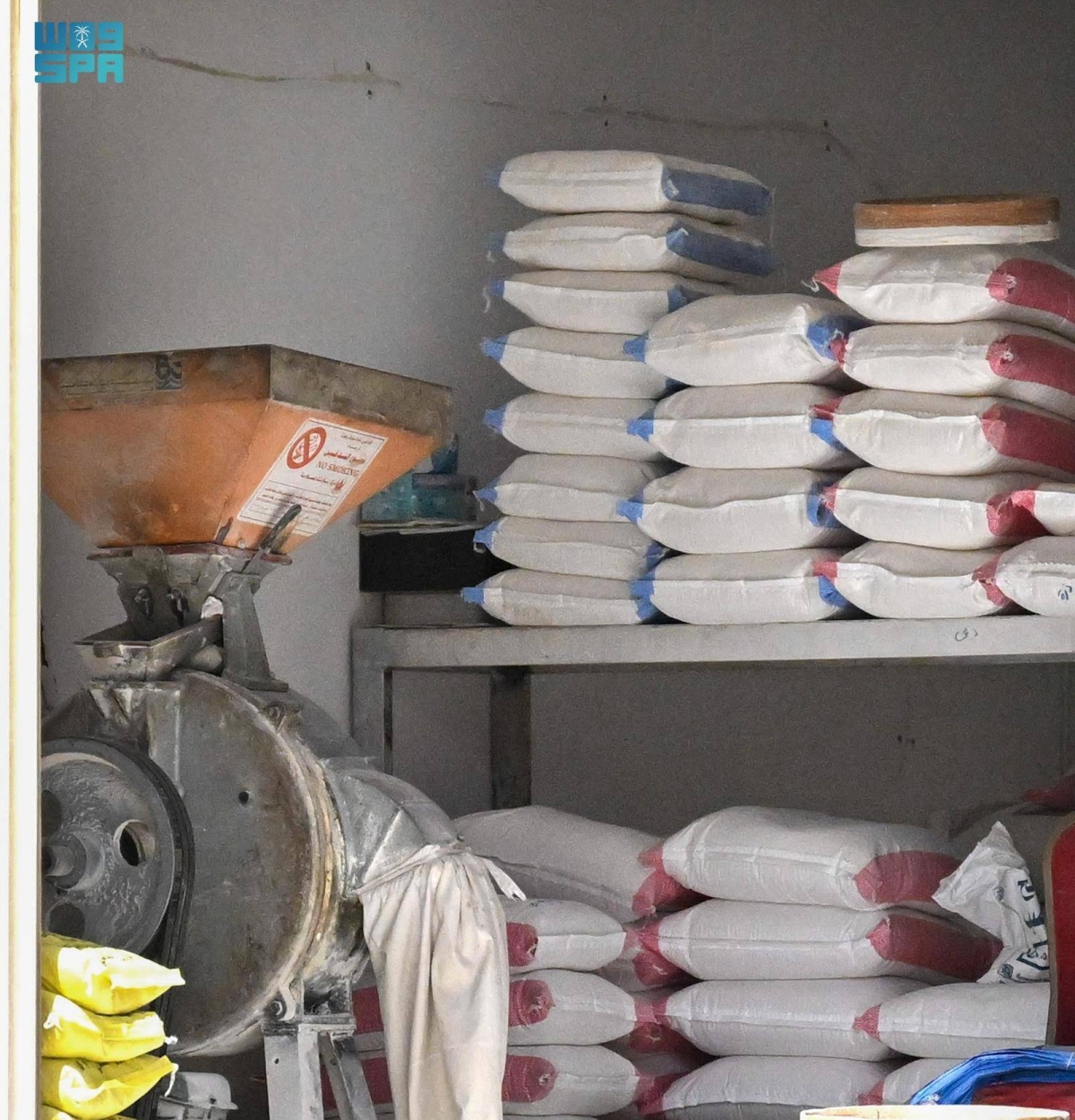 القمح-القصيمي.-كنز-غذائي-ومحصول-استراتيجي-في-حياة-الإنسان