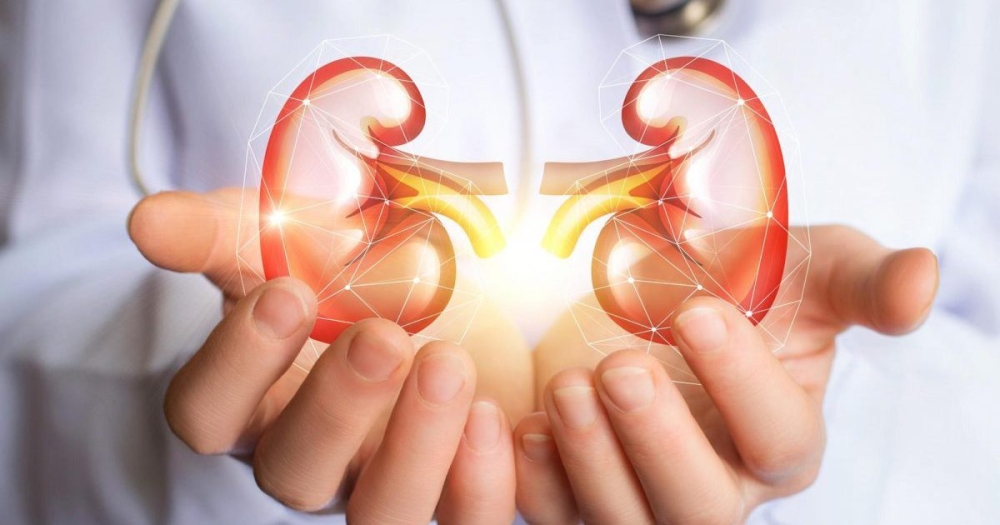 أبرزها-شرب-الماء-وتجنب-التدخين.-8-قواعد-مهمة-لحماية-الكلى