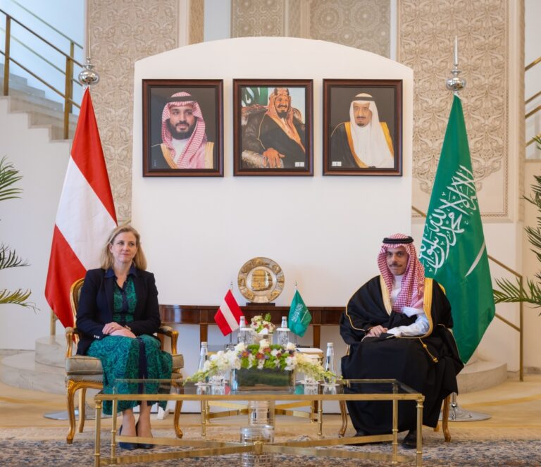 وزير-الخارجية-يبحث-المستجدات-الإقليمية-مع-نظيرته-النمساوية