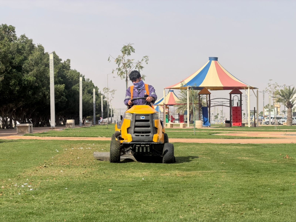 مسطحات-خضراء-وألعاب-أطفال.-زراعة-85-ألف-زهرة-و1365-شجرة-ببقيق