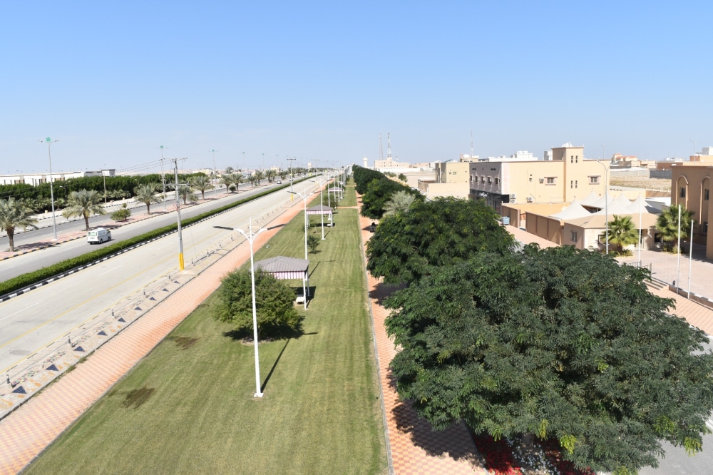 مليجة-تتجمل-ب40-ألف-زهرة.-وحملة-مكثفة-لإنهاء-التشوهات