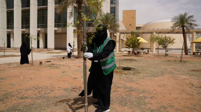 جامعة-الأميرة-نورة-تطلق-المرحلة-4-من-مبادرة-“جامعة-خضراء-مستدامة”