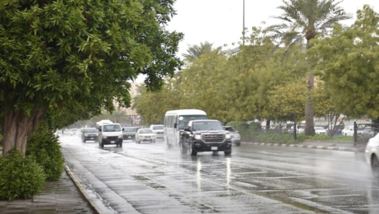 حتى-7-مساءً:-أمطار-متوسطة-ورياح-على-منطقتي-الباحة-ونجران
