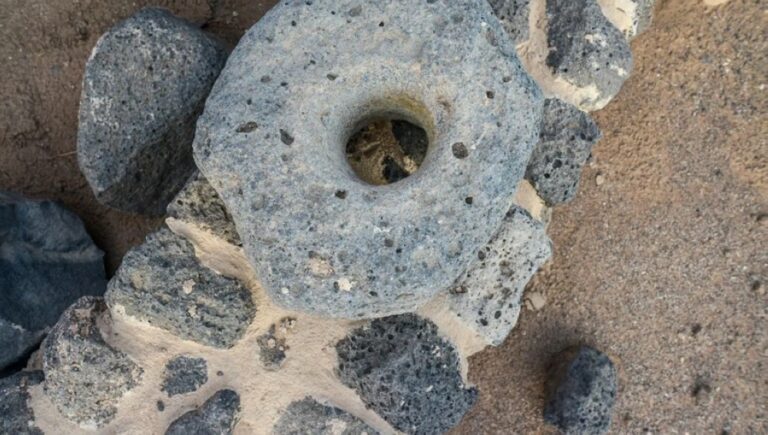 صور | قصر خراش بفيد الأثرية.. دور تاريخي في حماية القوافل بحائل