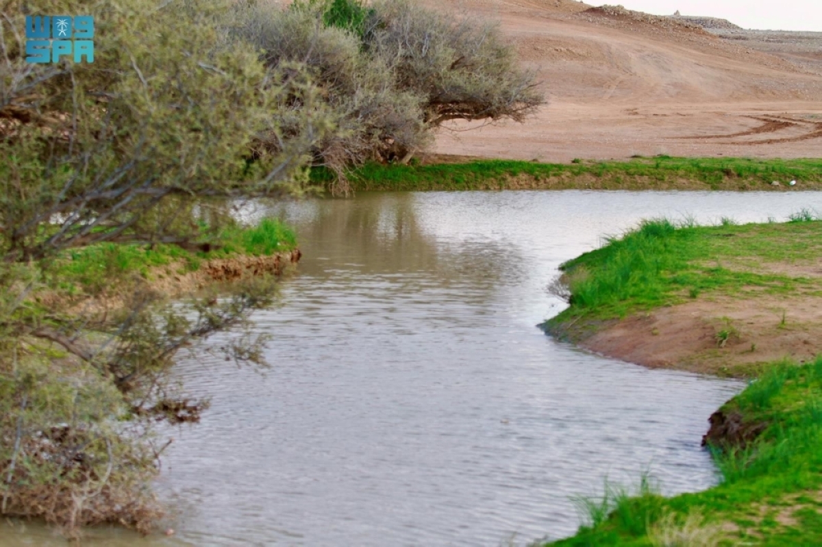 ربيع-رفحاء-يكسو-البراري-بالخضرة-ويعزز-
جاذبيتها-الطبيعية