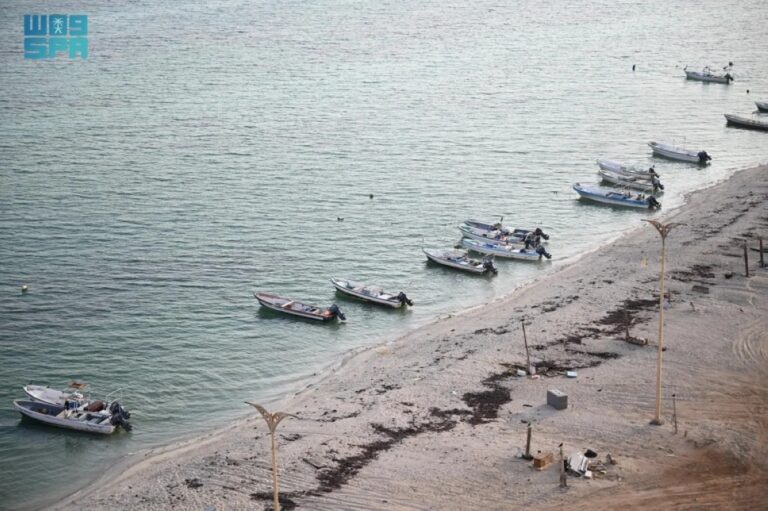 «الحريد».-حكاية-يرويها-البحر-على-شاطئ-الحصيص-في-كل-عام