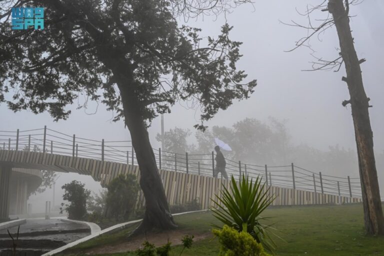 الحالة-المطرية-تعلق-الدراسة-الحضورية-في-بعض-الجامعات-ومدارس-التعليم-العام