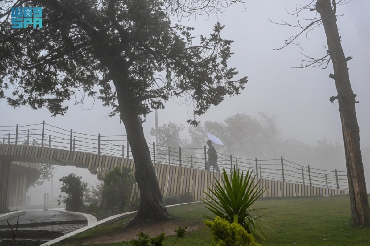 الحالة-المطرية-تعلق-الدراسة-الحضورية-في-بعض-الجامعات-ومدارس-التعليم-العام