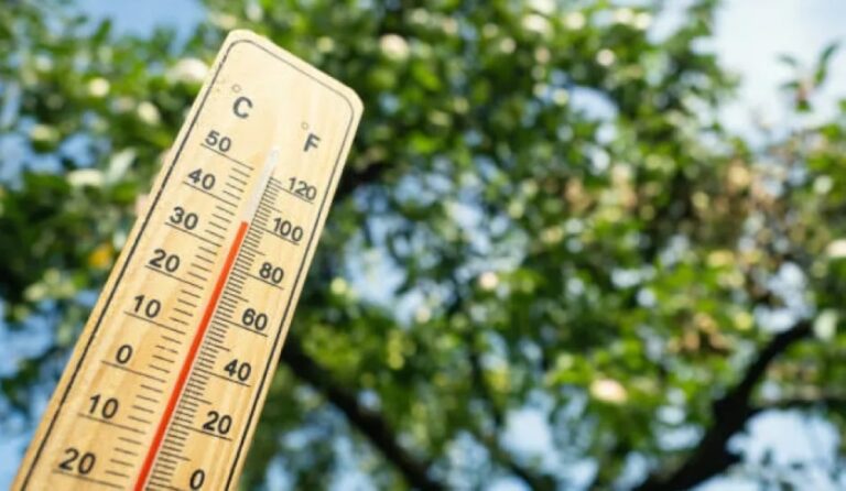 الدمام-29-مئوية.-بيان-درجات-الحرارة-العظمى-على-بعض-مدن-المملكة