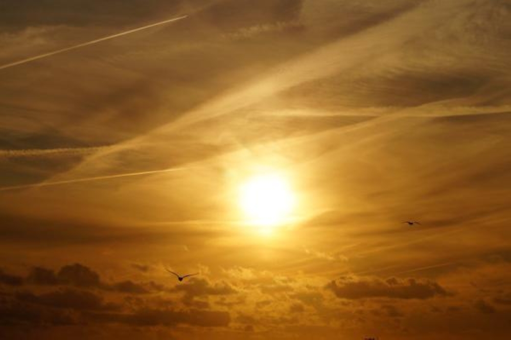 عاجل-–-الأرصاد:-1-يونيو-أول-أيام-الصيف-أرصاديًا.-وتوقعات-بصيف-حار-على-المملكة