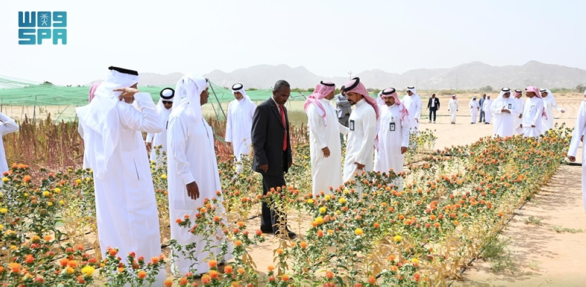 «استدامة»-ينظم-ورشة-عمل-بنجران-لتعزيز-الممارسات-الزراعية-لمحاصيل-الكينوا-والحنطة-والأزولا