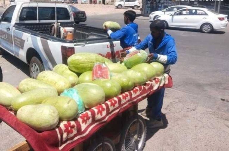 أمانة-جدة-تضبط-2.8-كجم-خضروات-وتُصادر-بسطات-مخالفة-بنطاق-العزيزية