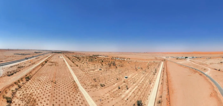 “الغطاء-النباتي”-يوقع-عقودًا-استثمارية-لتطوير-3-متنزهات-وطنية