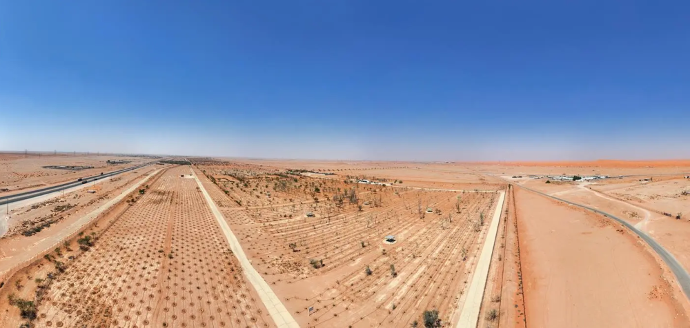 “الغطاء-النباتي”-يوقع-عقودًا-استثمارية-لتطوير-3-متنزهات-وطنية