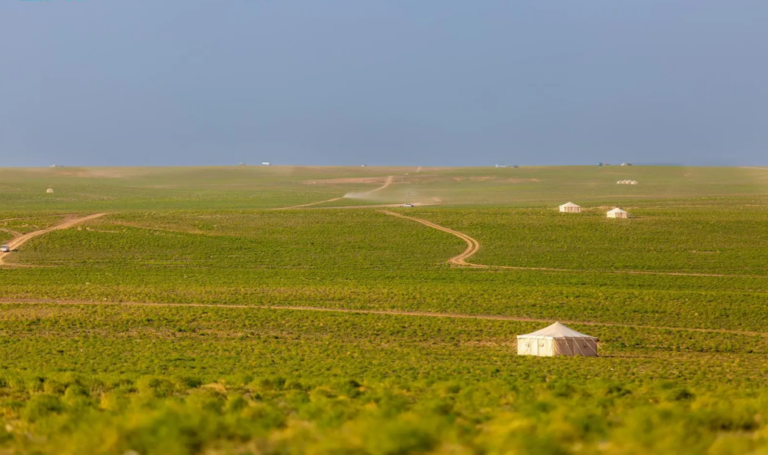 تنوّع-بيئي-وثروة-حيوانية-يعزّزان-الحراك-السياحي-في-الحدود-الشمالية