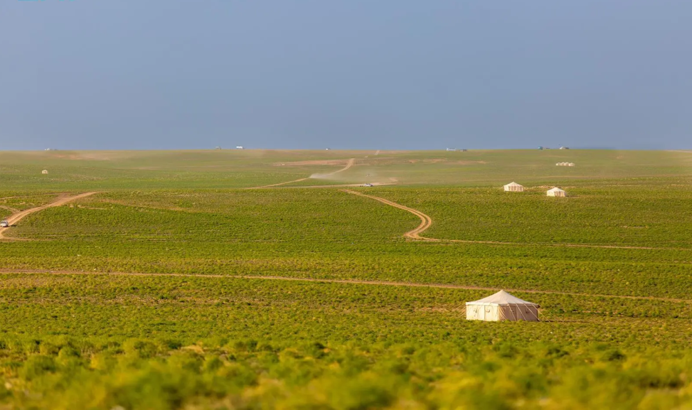تنوّع-بيئي-وثروة-حيوانية-يعزّزان-الحراك-السياحي-في-الحدود-الشمالية