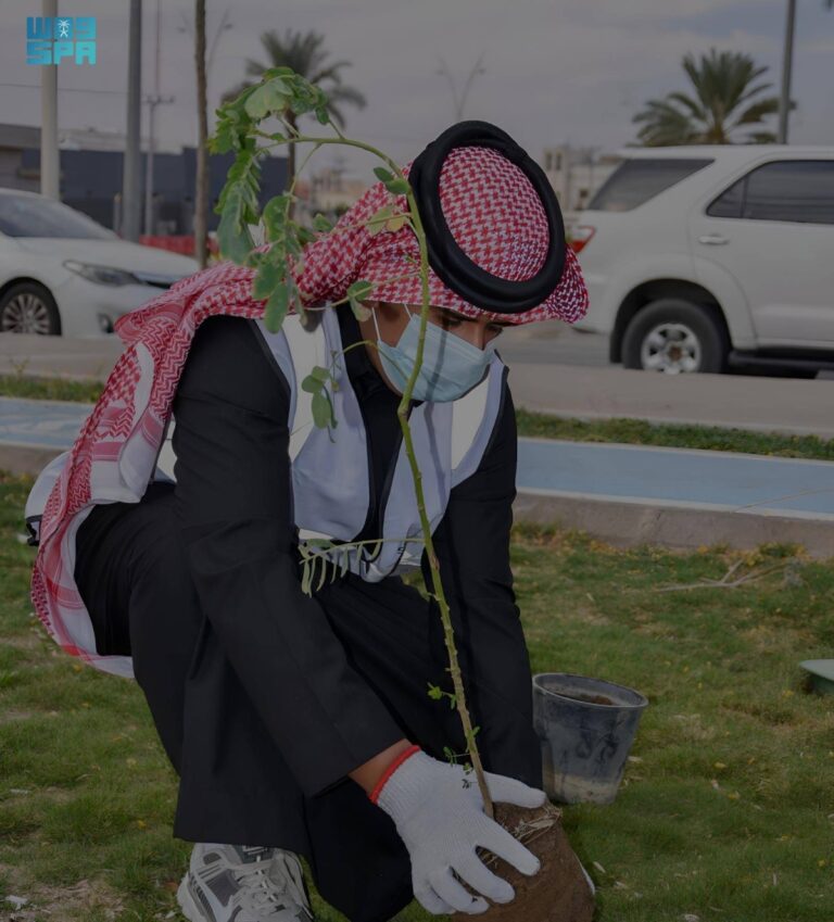 +4700-متطوع-من-طلاب-التعليم-العام-يشاركون-مع-10-أمانات-في-مبادرة-«مدن-الجمال-الحضري»