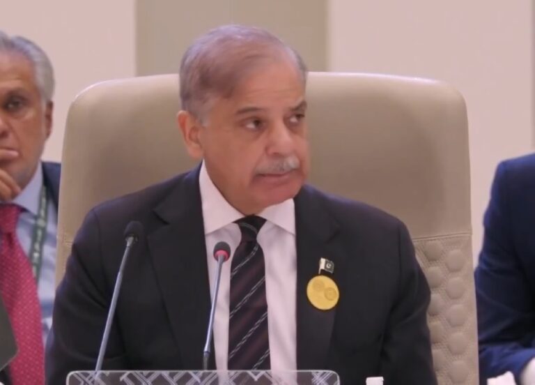 باكستان-تُرحّب-بوقف-إطلاق-النار-في-لبنان-وتؤكد-دعم-سيادتها