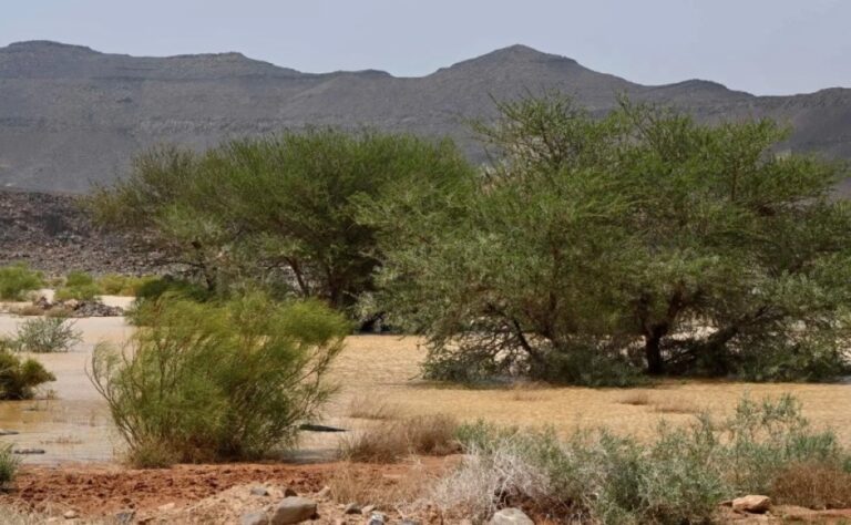 بالصور.-هطول-أمطار-من-خفيفة-إلى-متوسطة-على-تبوك