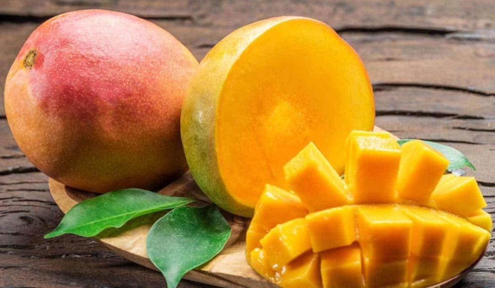 مكة-المكرمة.-القنفذة-تحتفي-بـ”ذهبها-الأصفر”-في-مهرجان-المانجو-الـ-15