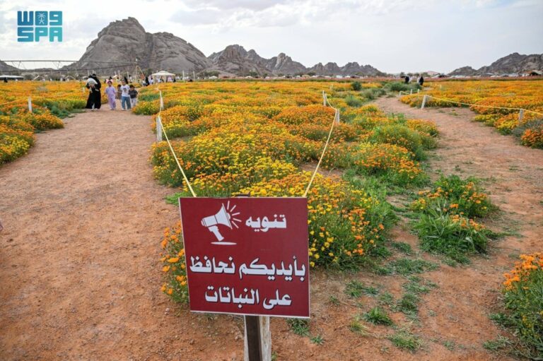 محمية-توارن-البرية-بحائل.-تنوع-طبيعي-وإرث-تاريخي-يعززان-سياحة-المنطقة