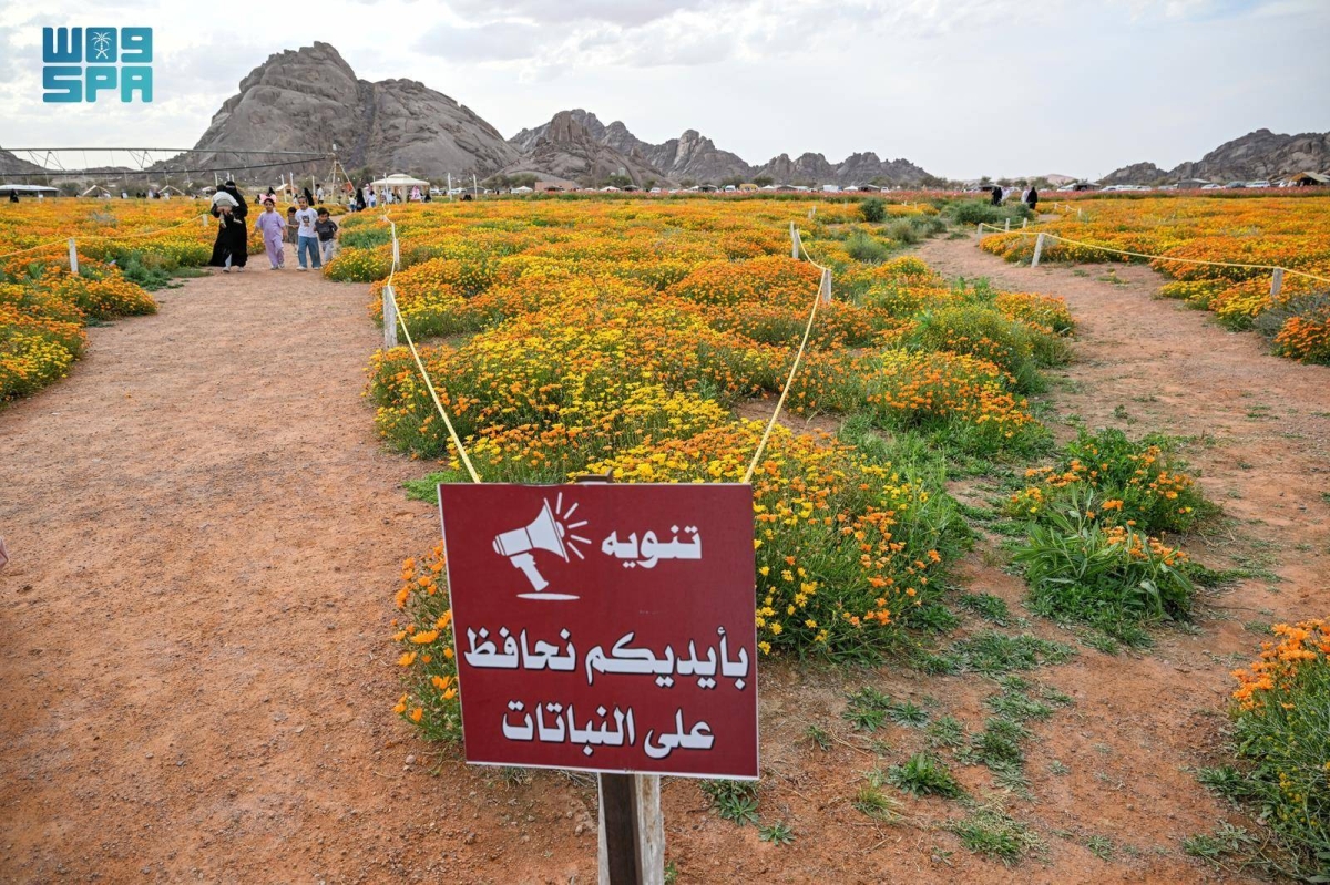 محمية-توارن-البرية-بحائل.-تنوع-طبيعي-وإرث-تاريخي-يعززان-سياحة-المنطقة