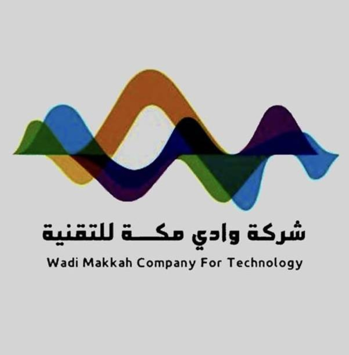 شركة-وادي-مكة-تنظم-ورشة-عمل-لتعزيز-بناء-النماذج-المالية-والحوكمة-في-الشركات-الناشئة