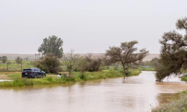 صور-|-هطول-أمطار-على-المدينة-المنورة-والقصيم.-وتوقعات-بالاستمرار