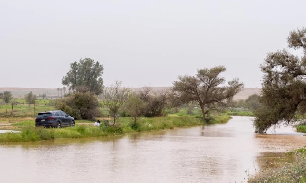 صور-|-هطول-أمطار-على-المدينة-المنورة-والقصيم.-وتوقعات-بالاستمرار