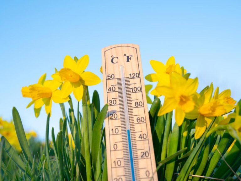 الدمام-30-مئوية.-بيان-درجات-الحرارة-العظمى-على-بعض-مدن-المملكة