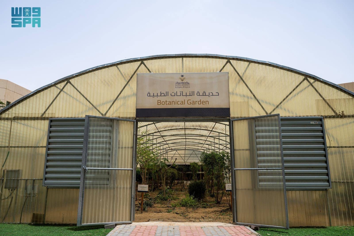 حديقة-النباتات-الطبية-بجامعة-نجران.-مبادرة-تعزز-التعليم-والبحث-العلمي
