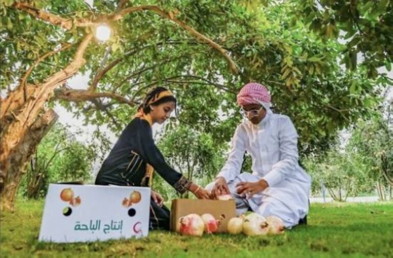 مزارع-«رمان-الباحة».-إنتاج-وفير-وفرص-تسويق-واعدة