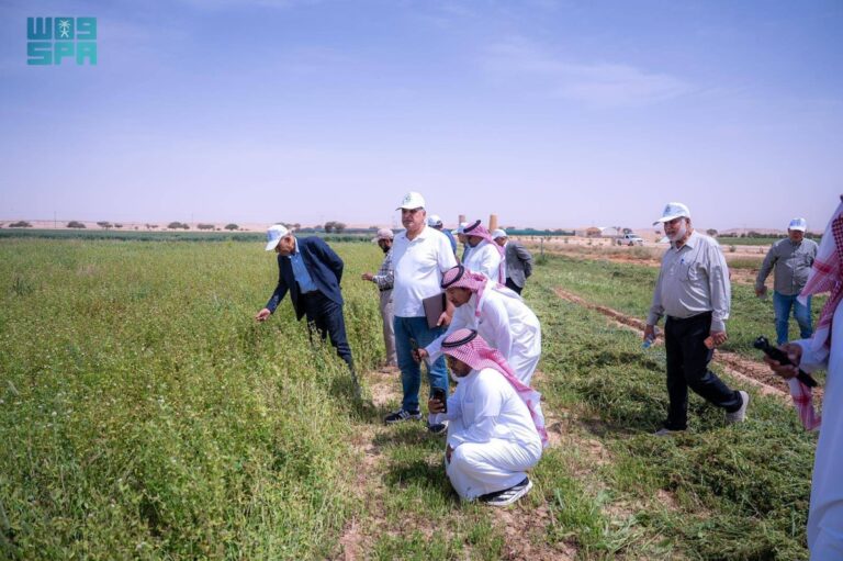 «استدامة»-ينظم-يوما-حقليا-بعنوان-«الأعلاف-الموسمية:-إنتاجية-المحاصيل-والتطبيقات-الحقلية»
