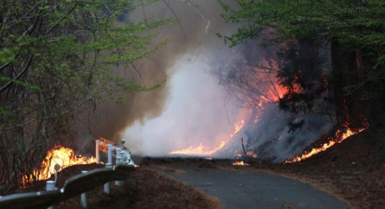 ملتهمة-700-هكتار.-حرائق-واسعة-تجتاح-شمال-اليابان-وإجلاء-آلاف-السكان