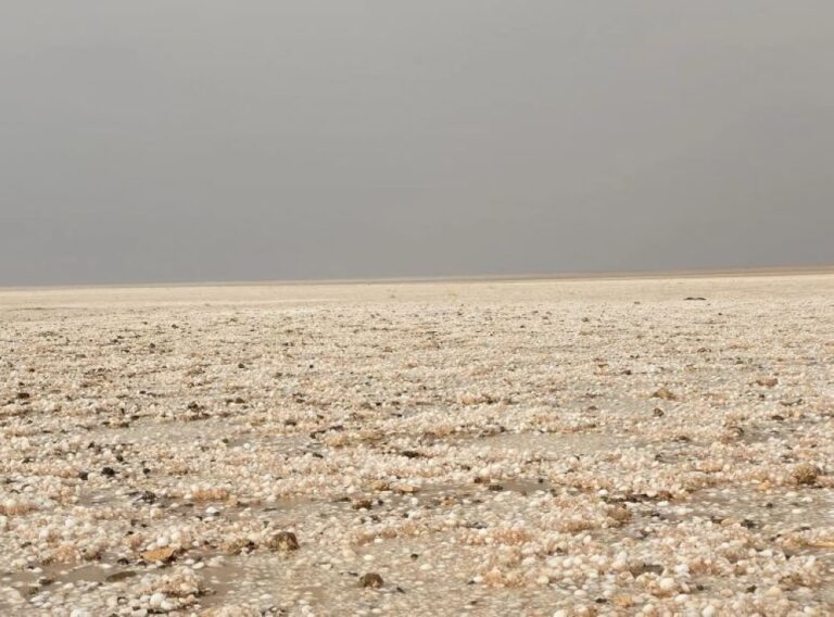 مصحوبة-بالبرد.-هطول-أمطار-غزيرة-شرق-محافظة-طريف