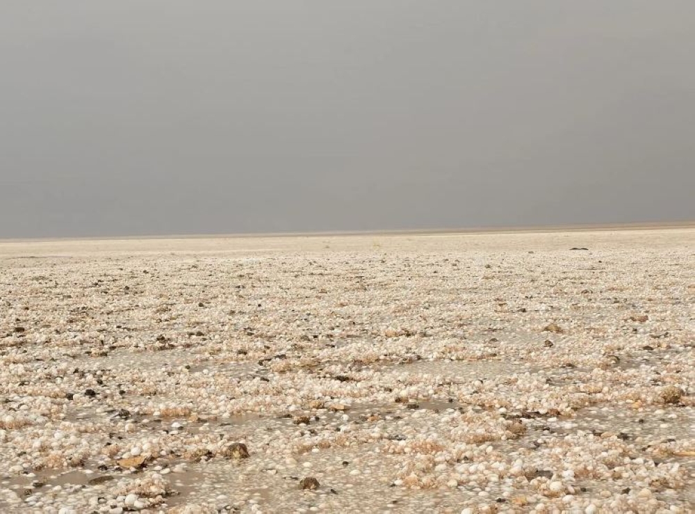 مصحوبة-بالبرد.-هطول-أمطار-غزيرة-شرق-محافظة-طريف