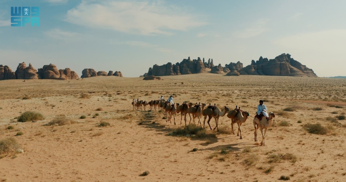 طريق-الحج-الشامي-قديما.-
رحلة-إيمانية-بين-مسارات-ومحطات-متنوعة