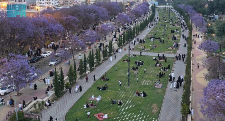 إقبال-على-مواقع-الجاكرندا-
في-أبها-وسط-أجواء-ربيعية-معتدلة