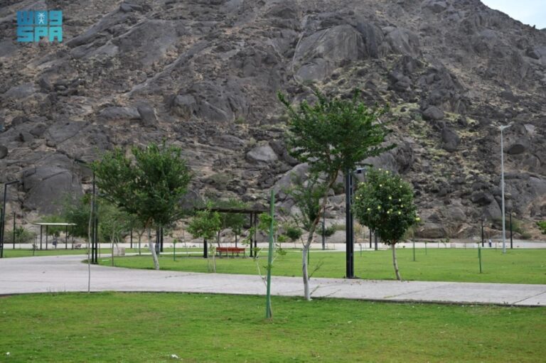 متنزه-الصفا.-واجهة-سياحية-وترفيهية-رائدة-في-غرب-نجران