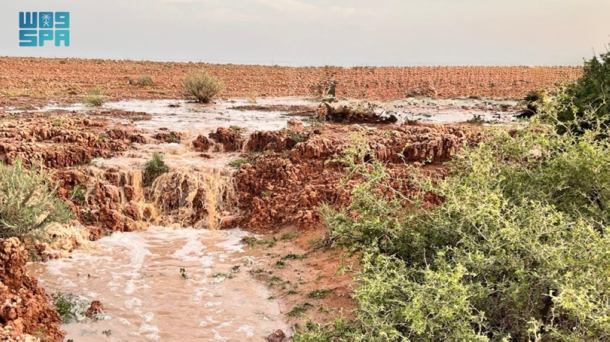 سيول-الأمطار-تنعش-شعاب-جنوب-رفحاء-وتحفز-ازدهار-الغطاء-النباتي