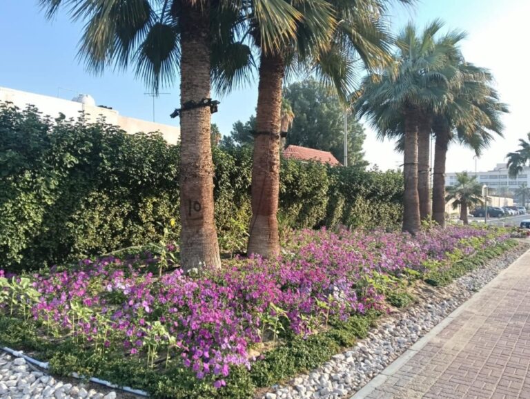 6872-زيارة-للمنشآت-التجارية-و35-ألف-عملية-لرفع-الأنقاض-في-الدمام