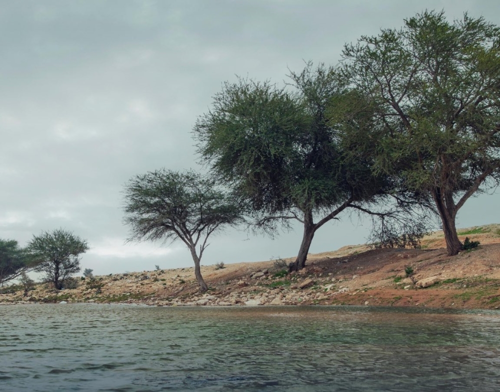 الابتعاد-عن-تجمع-السيول-خلال-الأمطار.-“الدفاع-المدني”-يدعو-للالتزام-بتعليمات-السلامة