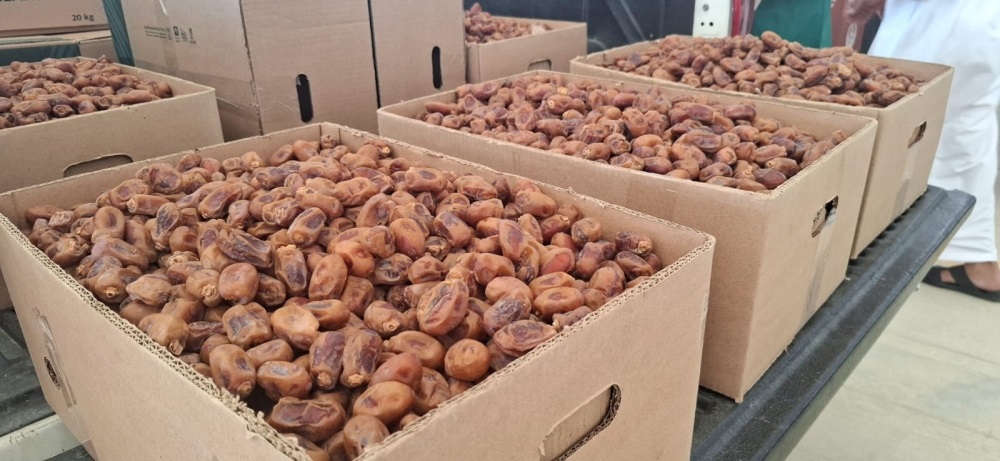 ارتفاع-صادرات-التمور-السعودية-إلى-الصين-بنسبة-39%-مقارنةً-بعام-2024م