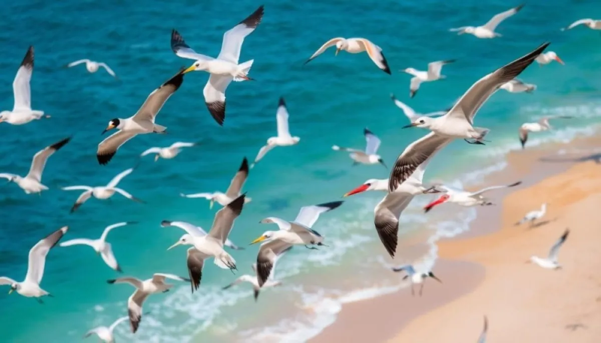البحر-الأحمر.-ممر-حياة-للطيور-المهاجرة