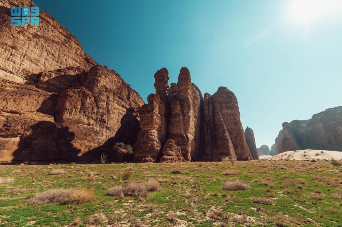 محمية-شرعان-بالعلا.-تنوع-طبيعي-ثري-وجهود-متكاملة-لاستعادة-النظم-البيئية-وتعزيز-استدامتها